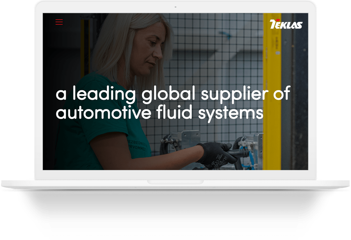 teklas wordpress web tasarim